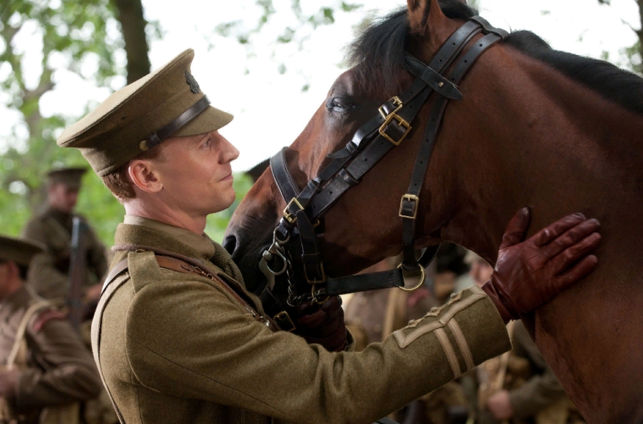 актер Том Хиддлстон гладит коня.