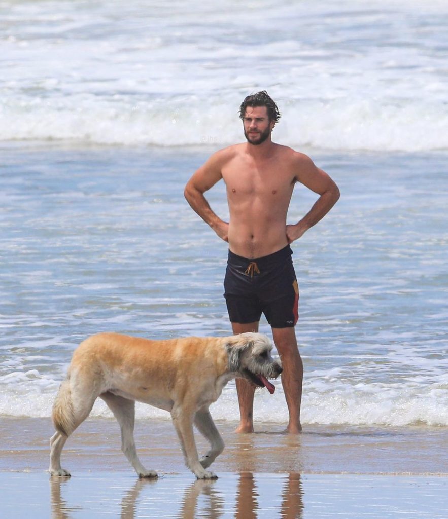 Киноактер Лиам Хемсворт в плавках на берегу моря вместе с собакой.